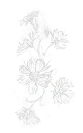 Picture, grey scale , flowers